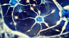 A Gentle Introduction to Deep Learning Using Keras