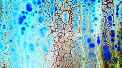 Introduction To Fluid Art