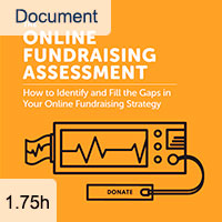 The Online Fundraising Assessment