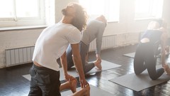 Wellness Gymnastics 