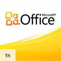 Office 2010 Interface, Word 2010, and Excel 2010