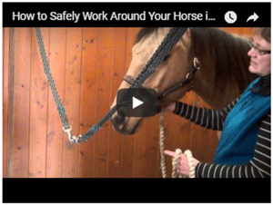 Cross-Tying a Horse Safely