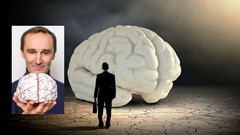 Meet your brain: a short introduction to neuroscience