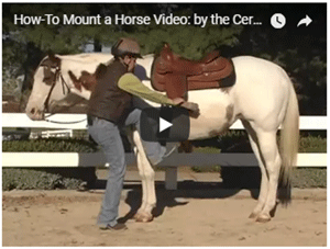 How to Mount and Dismount Correctly