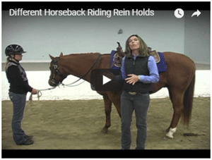 Different Rein Holds