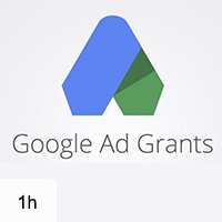 Google Ad Grant Advanced Series