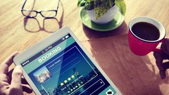Increase 20 percent Direct/Indirect Revenue within 100 Days