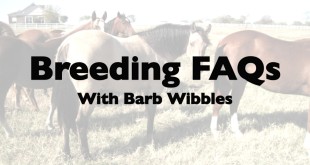 Artificial Insemination – Barb Wibbles Artificial Insemination – Barb Wibbles
