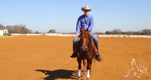 Backing Up – Fred Thomsson Backing Up – Fred Thomsson