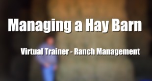 Managing A Hay Barn – Tom McCutcheon