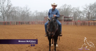 Opening a Gate – Mozaun McKibben