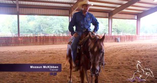 Rewarding Your Horse – Mozaun McKibben