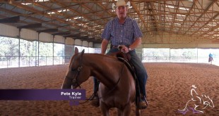 Exercises for Horses That Suck Back in Their Spin – Pete Kyle
