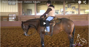 Rein Management – Debbie Brown Rein Management – Debbie Brown
