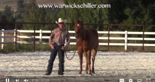How to Keep a Horse From Bucking with Warwick Schiller