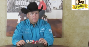 Keeping a Performance Horse Sound in Mind and Body