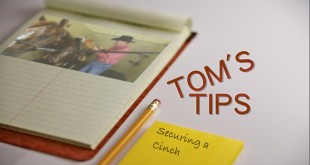 Securing Your Cinch