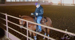 Teaching Your Horse to Side-pass – Tom McCutcheon