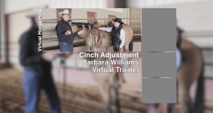 Properly Cinching Your Saddle – Barbara Williams