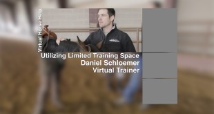 Utilizing Limited Training Space – Daniel Schloemer Utilizing Limited Training Space – Daniel Schloemer