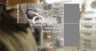 Shoe Types Part Two – Trent Wargo