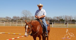 Trail Exercise – Will Knabenshue Trail Exercise – Will Knabenshue