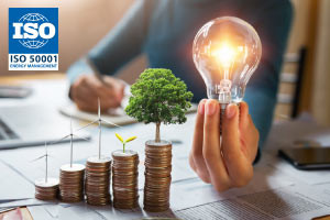 ISO 50001:2018 - Elements of Energy Management System (EnMS) ISO 50001:2018 - Elements of Energy Management System (EnMS)