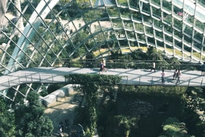 Sustainable Architecture: Selecting Sites and Materials