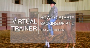 How to Start Backing Up – Part Two: Using Your Legs How to Start Backing Up – Part Two: Using Your Legs