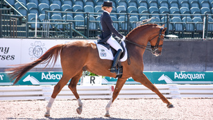 Dressage Training Videos, from US Equestrian (USEF)