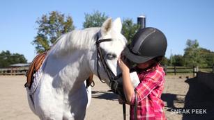 Getting started with horses, from US Equestrian (USEF)