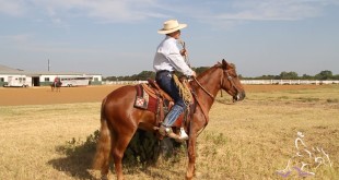 Partnership with Your Horse – Mark Lyon