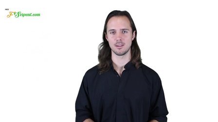Discover Your Energy Body
