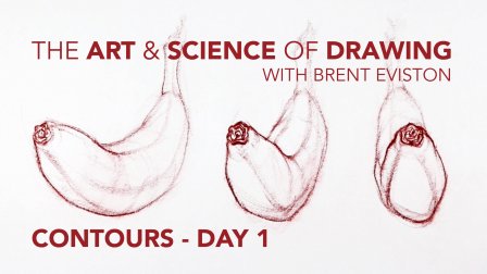 The Art & Science of Drawing: Contours: Day 1